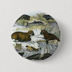 Vintage Wale, Siegel und Walrusse, Meerestiere Button