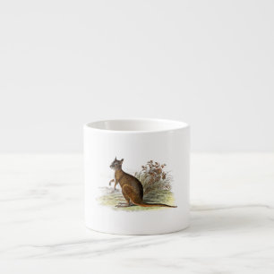 Vintage-Wallaby-Illustration aus dem 19. Jahrhunde Espressotasse