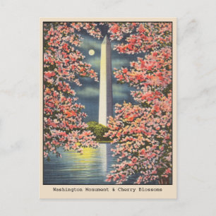 Vintage Washington Monument & Kirschblüten DC Postkarte