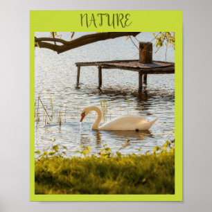 Vintage-Wasserfarben-Ente in der Natur Leinwand Ku Poster