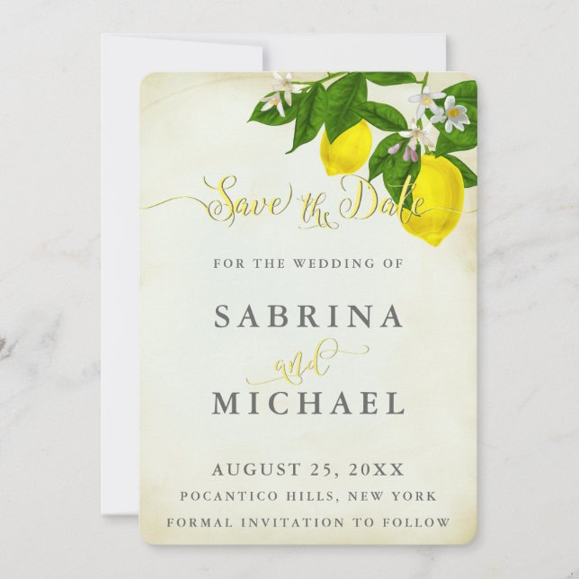 Vintage Wasserfarben Save the Date (Vorderseite)