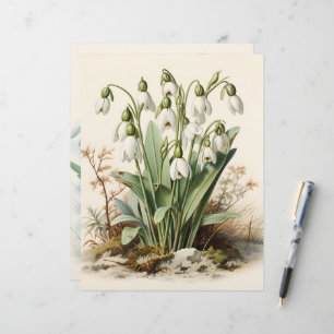 Vintage Wasserfarben-Snowdrops-Scrapbook-Papier