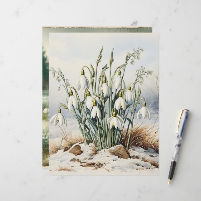 Vintage Wasserfarben-Snowdrops-Scrapbook-Papier (Vorderseite/Rückseite Beispiel)