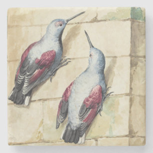 Vintage-Wasserfarbenkunst Roter und Grauer Vogel Steinuntersetzer