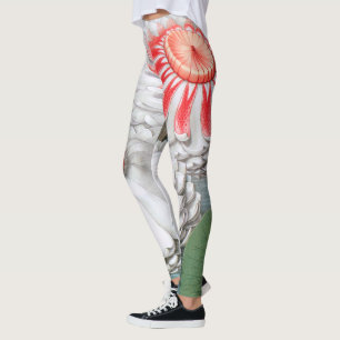 Vintage Wasserlilien Blume im Garten Leggings