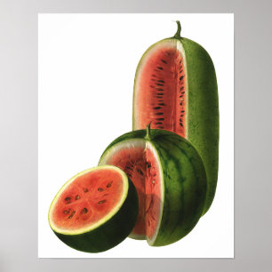 Vintage Wassermelone-hohe runde, Bio Poster