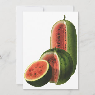 Vintage Wassermelonen Hoch Rund, Bio-Lebensmittel 