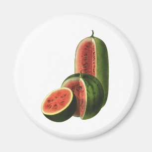 Vintage Wassermelonen Hoch Rund, Bio-Lebensmittel  Magnet