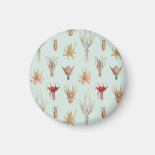 Vintage Weichtiere (blau) Magnet