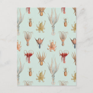 Vintage Weichtiere (blau) Postkarte