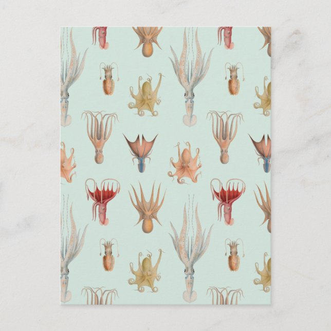 Vintage Weichtiere (blau) Postkarte (Vorderseite)