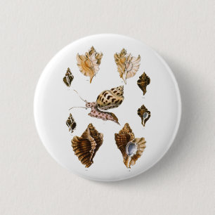 Vintage Weichtiere und Schnecken, Meeresorganismen Button