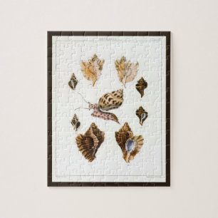 Vintage Weichtiere und Schnecken, Meeresorganismen Puzzle