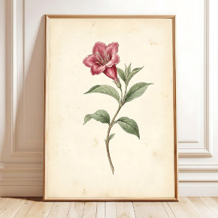 Vintage-Weigela-Botanik-Kunstleinwanddruck Poster
