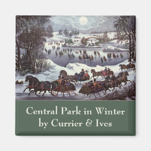 Vintage Weihnachten, Central Park im Winter Magnet