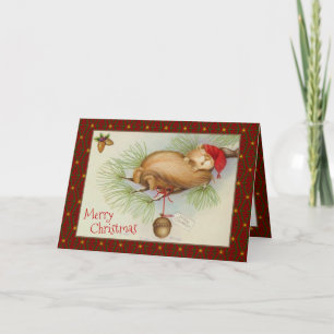 Vintage Weihnachten, Eichhörnchen, Kiefer und Eich Feiertagskarte