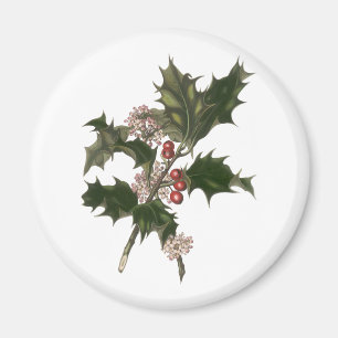 Vintage Weihnachten, grüne Stechpalmenpflanze mit Magnet