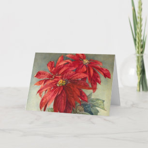 Vintage Weihnachten in Poinsettia