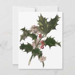 Vintage Weihnachten, Stechpalmen-Beeren-Einladung Einladung