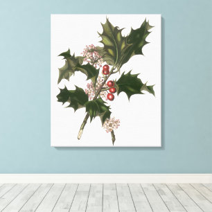 Vintage Weihnachten, Stechpalmenpflanze mit roten  Leinwanddruck