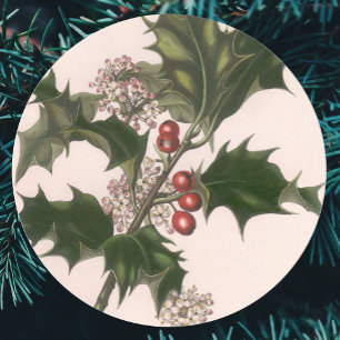 Vintage Weihnachten, Stechpalmenpflanze mit roten Runder Aufkleber