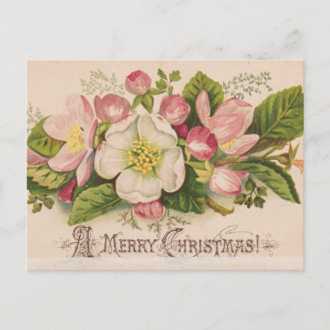 Vintage Weihnachts-Apfelblüten Postkarte (Vorderseite)