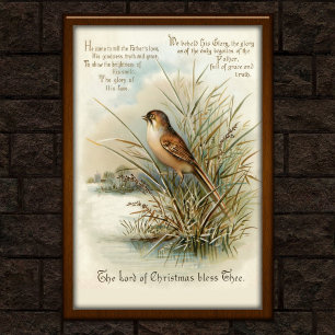 Vintage Weihnachtsbird-Grußkarte 1908 Art Poster