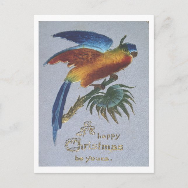 Vintage Weihnachtsgrüße 1905 mit Papagei Postkarte (Vorderseite)