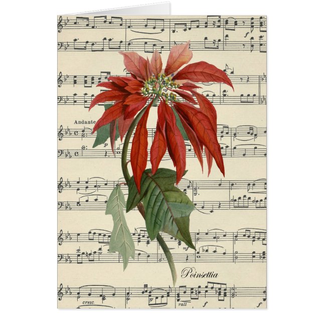 Vintage Weihnachtskarte poinsettia (Vorne)