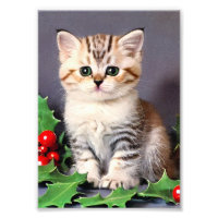 Vintage-Weihnachtskitten und Stechpalme