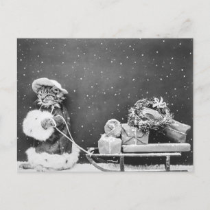 Vintage Weihnachtsmann-Winter-Weihnachtskatze mit Feiertagspostkarte