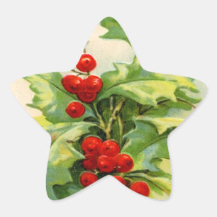 Vintage Weihnachtsstechpalmen-Stern-Aufkleber Stern-Aufkleber