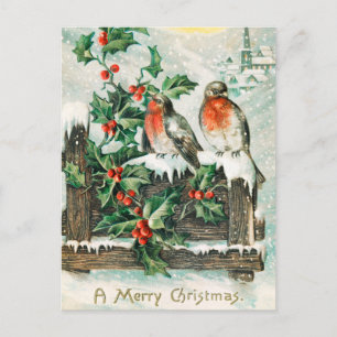 Vintage-Weihnachtsvögel und Winter-Schnee-Stechpal Feiertagspostkarte