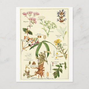 Vintage weise Illustrationspostkarten-Rezeptkarte Postkarte