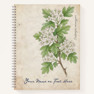 Vintage Weißdorn (Crataegus monogyna) Notizbuch