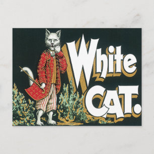 Vintage Weiße Katze Zigarrenetikett Kunst Postkarte