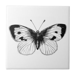 Vintage Weiße Kohlschmetterling Illustration Fliese