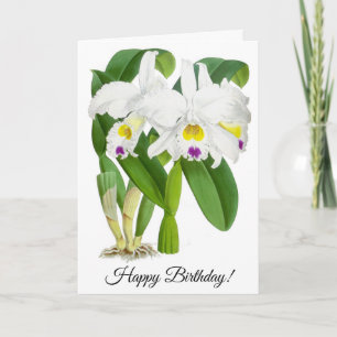 Vintage weiße Orchidee Blume Personalisierte Karte