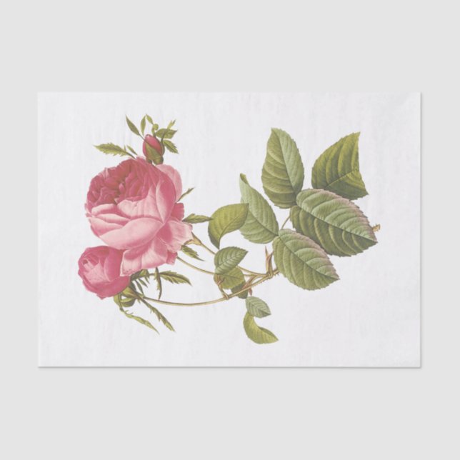 Vintage Weiße Rosen #3 Blume Blumenstrauß Seidenpapier (Vorderseite)