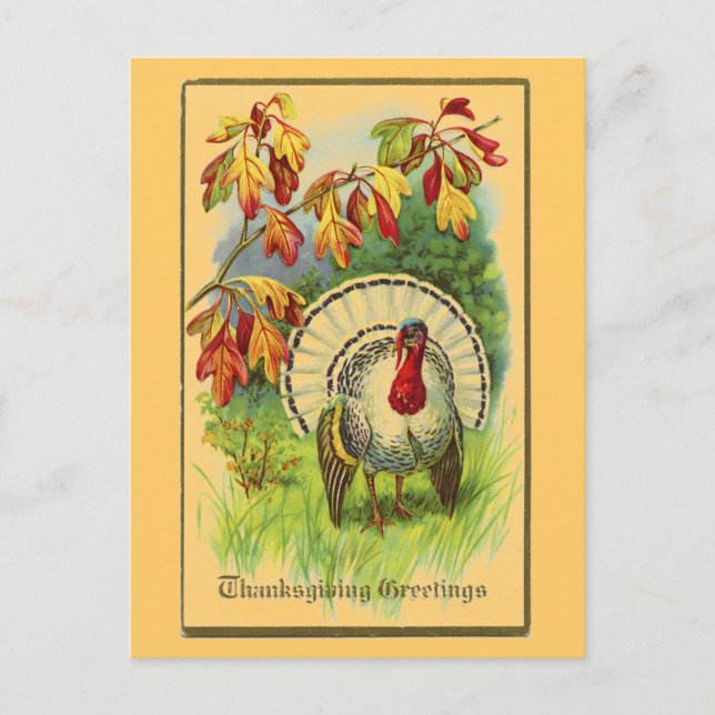 Vintage Weiße Türkei Postkarte (Vorderseite)