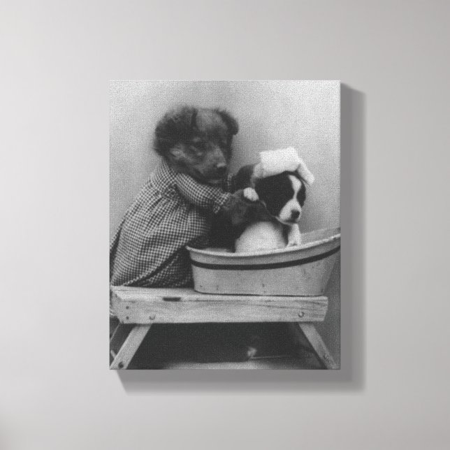 Vintage Welpen | Funny Dog Bath Foto Leinwanddruck (Vorderseite)