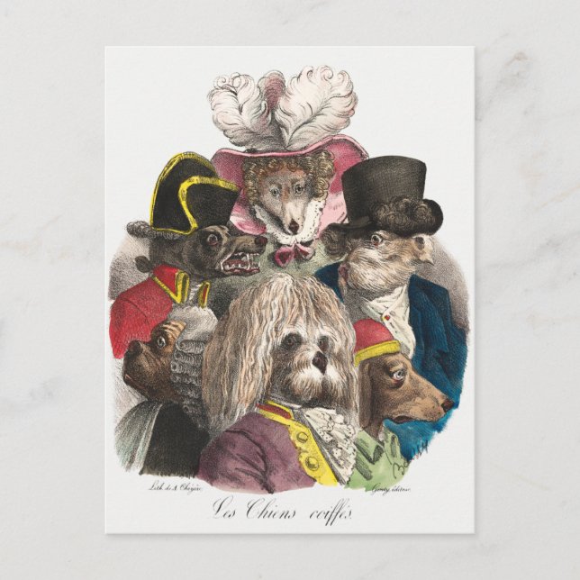 Vintage Welpen Postkarte (Vorderseite)