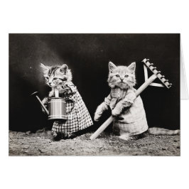Vintage Welpen und Kätzchen Mitteilungskarten