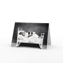 Vintage Welpen-und Kätzchen-Mitteilungskarten