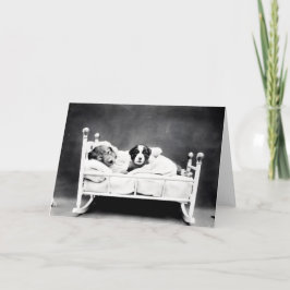 Vintage Welpen-und Kätzchen-Mitteilungskarten Karte