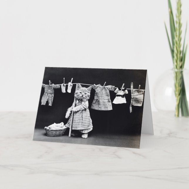 Vintage Welpen-und Kätzchen-Mitteilungskarten Karte (Vorderseite)