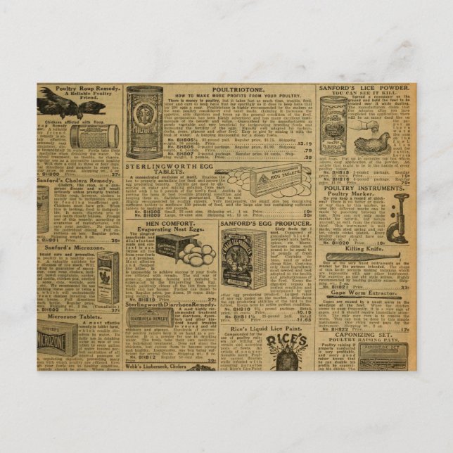 Vintage Werbezeitungen Hühner Bauer Postkarte (Vorderseite)