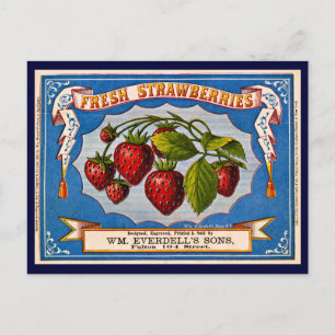 Vintage-Werbung für frische Erdbeeren 1868 Postkarte