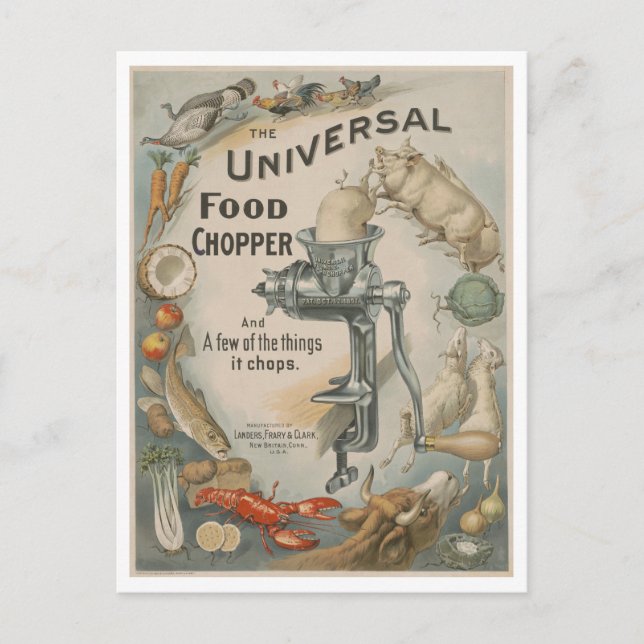 Vintage Werbung Universell Food Chopper Postkarte (Vorderseite)