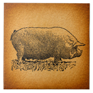 Vintage Western Style Antike Schweine-Kunstillustr Fliese